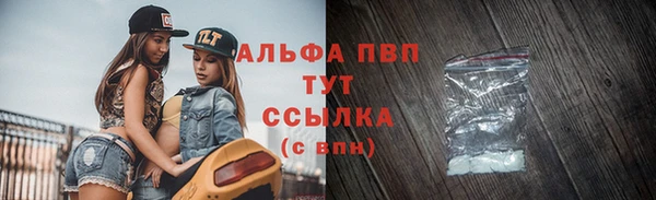 ПСИЛОЦИБИНОВЫЕ ГРИБЫ Верхний Тагил