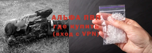 ПСИЛОЦИБИНОВЫЕ ГРИБЫ Верхний Тагил