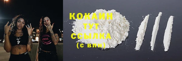 ПСИЛОЦИБИНОВЫЕ ГРИБЫ Верхний Тагил